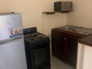 Resort/vacation property For Rent in Rio Nuevo, St. Mary Jamaica | [6]