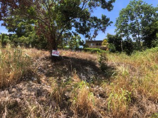 Land For Sale in Port Antonio, Portland, Jamaica