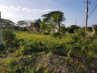 Residential lot For Sale in HUDDERSFIELD ESTATE, St. Mary Jamaica | [6]