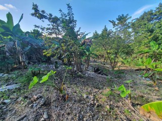 Residential lot For Sale in Cardiff Hall, St. Ann, Jamaica