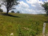Residential lot For Sale in Lacovia, St. Elizabeth Jamaica | [3]