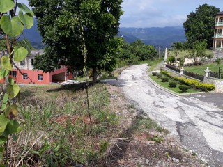 Residential lot For Sale in Ingleside Mandeville, Manchester Jamaica | [6]