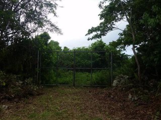 Residential lot For Sale in Fairy Hill, Portland Jamaica | [1]