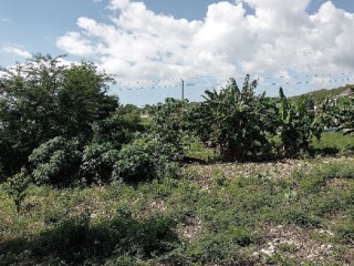 Residential lot For Sale in Phamphery, St. Thomas Jamaica | [4]