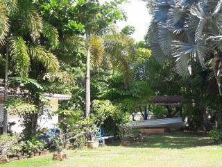 Resort/vacation property For Sale in Black River, St. Elizabeth Jamaica | [5]