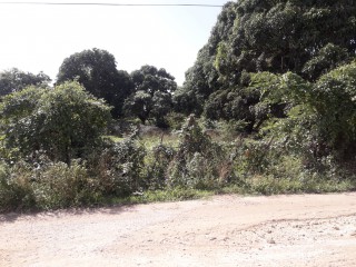 Residential lot For Sale - BlackRiver, St. Elizabeth, Jamaica