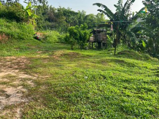 House For Sale in Salisbury Plain, Kingston / St. Andrew Jamaica | [1]