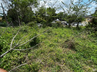 Land For Sale – Bethel Town, Westmoreland, Jamaica