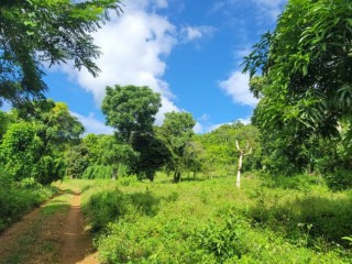 Land For Sale in Williamsfield, Manchester, Jamaica