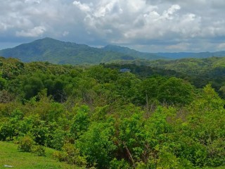 Land For Rent in Allepo, St. Mary Jamaica | [2]
