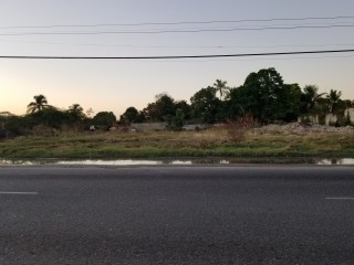 Commercial/farm land For Sale in Sydenham, St. Catherine Jamaica | [1]