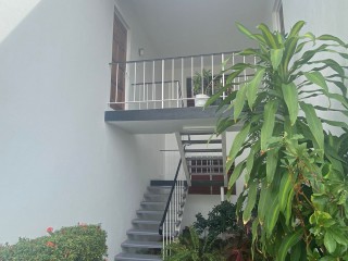 Apartment For Rent in New Kingston, Kingston / St. Andrew Jamaica | [4]