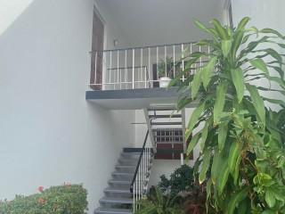 Apartment For Rent in New Kingston, Kingston / St. Andrew Jamaica | [3]