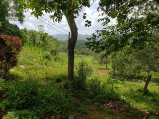 Commercial/farm land For Sale in Manchester, Manchester, Jamaica