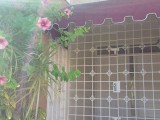 Townhouse For Rent in LIGUANEA AREA, Kingston / St. Andrew Jamaica | [13]