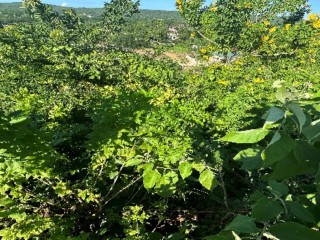 Residential lot For Sale in Bounty Hall, Trelawny, Jamaica