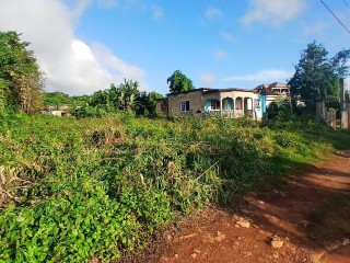 Residential lot For Sale in Duncans, Trelawny Jamaica | [1]