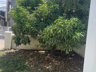 House For Rent in Portmore, St. Catherine Jamaica | [4]