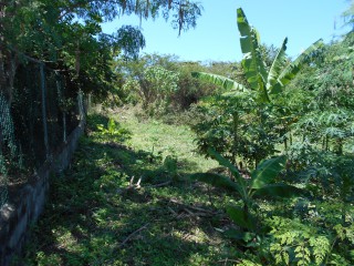 Land For Sale in Cardiff Hall, Runaway Bay, St. Ann Jamaica | [6]
