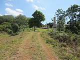 Commercial/farm land For Sale in Hatfield, Manchester Jamaica | [9]