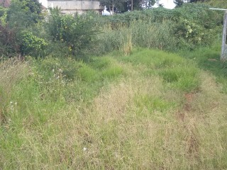 Land For Sale in Mandeville, Manchester Jamaica | [7]