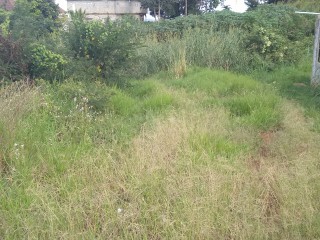 Land For Sale in Mandeville, Manchester, Jamaica