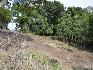 Residential lot For Sale in Pioria, Manchester Jamaica | [2]