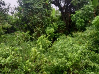 Residential lot For Sale in Whitehouse, Westmoreland, Jamaica