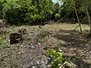 House For Sale in Red Hills, Kingston / St. Andrew Jamaica | [5]