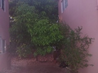 House For Sale in Caribbean Estates, St. Catherine Jamaica | [1]