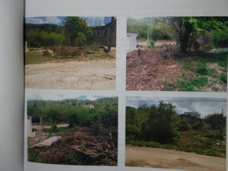 Land For Sale in Duncans Hill, Trelawny, Jamaica