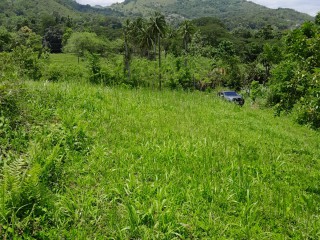 Land For Sale in Seaford Town, Westmoreland Jamaica | [8]