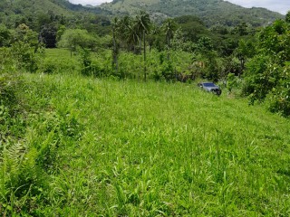 Land For Sale in Seaford Town, Westmoreland, Jamaica