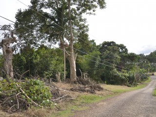 Residential lot For Sale in Pioria, Manchester Jamaica | [1]