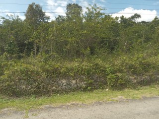 Commercial/farm land For Sale in Browns Town, St. Ann Jamaica | [10]