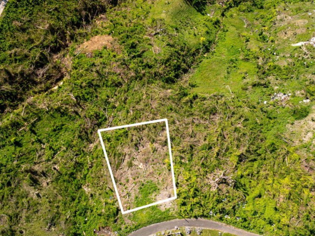 Residential lot For Sale - Culloden, Westmoreland, Jamaica