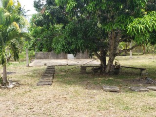 Commercial/farm land For Sale in Unity, St. Mary Jamaica | [2]