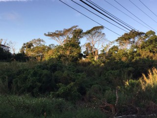 Residential lot For Sale in Godfrey Lands, Manchester Jamaica | [1]