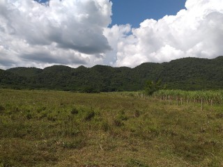 Land For Sale in Bogue, St. Elizabeth Jamaica | [2]