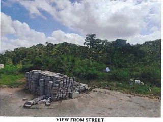 Residential lot For Sale in Mandeville, Manchester Jamaica | [1]