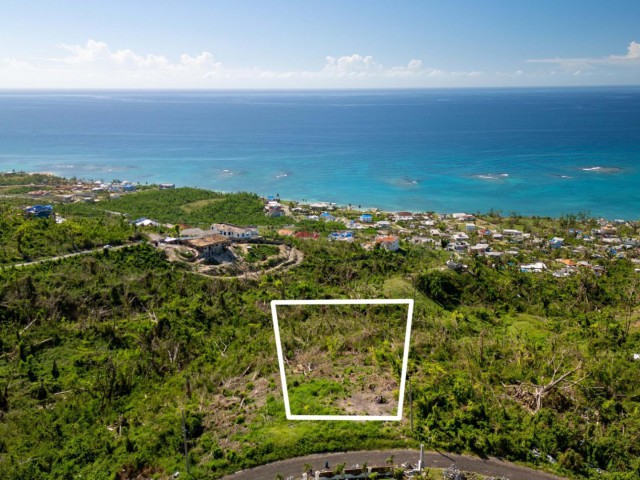 Residential lot For Sale in Culloden, Westmoreland Jamaica | [2]