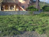 Residential lot For Sale in Wicky Wacky, Kingston / St. Andrew Jamaica | [2]