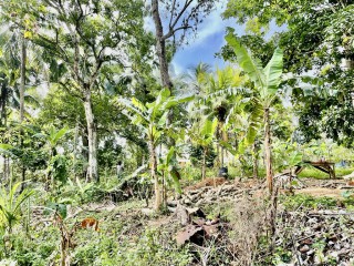 Residential lot For Sale in Spring Vale, St. Catherine Jamaica | [5]
