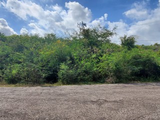 Land For Sale in May Pen, Clarendon Jamaica | [1]