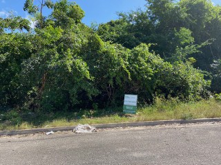 Residential lot For Sale in Duncans, Trelawny Jamaica | [2]