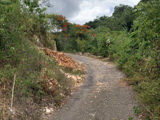 Residential lot For Sale in Constant Spring Stony Hill, Kingston / St. Andrew, Jamaica