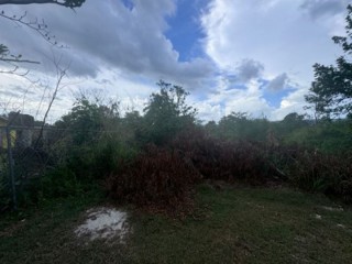 Land For Sale in Junction, St. Elizabeth, Jamaica