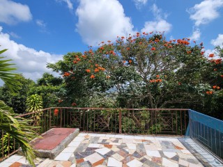 House For Sale in Christiana, Manchester Jamaica | [13]