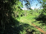 Commercial/farm land For Sale in Malvern, St. Elizabeth Jamaica | [3]