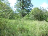 Commercial/farm land For Sale in Browns Town, St. Ann Jamaica | [2]